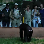 Zoo de Barcelona 31-05-11 248