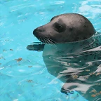Zoo de Barcelona 31-05-11 266