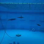 Zoo de Barcelona 31-05-11 377