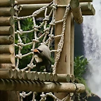 Zoo de Barcelona 31-05-11 105