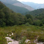 DSCN3878