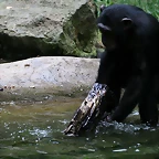 Zoo de Barcelona 31-05-11 159