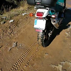 DSCN6811
