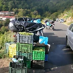 DSCN7481