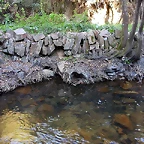 DSCN7908