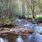 DSCN7912