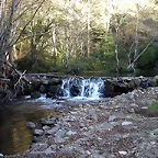 DSCN7906