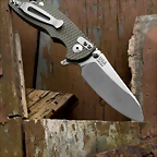 Hinderer21p