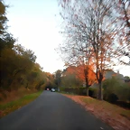 DSCN9015