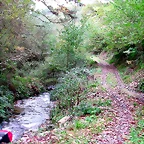 DSCN6279
