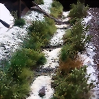 PHOTO 03