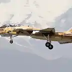 F-14-IRIAF