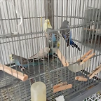 IMG_20250606_162236