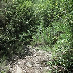 PICT0075