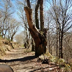 DSCN3763