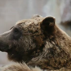 Zoo Halle 19-06-11 265