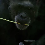 Zoo Halle 19-06-11 548