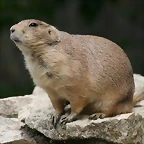 Zoo Halle 19-06-11 374