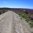 055-Imagen 058