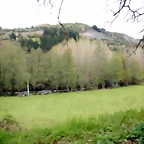 DSCN4102