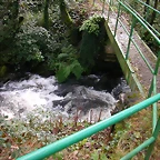 DSCN5754
