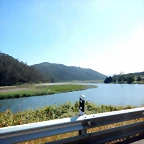 DSCN6586