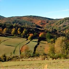 DSCN0008