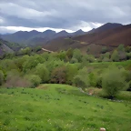 DSCN4662