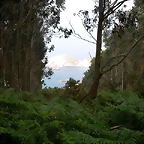 DSCN1441