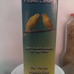 IMAG0774