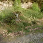 DSCN2103