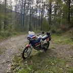 rd03-2