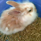 Reini  2 meses