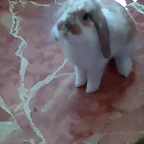 adolescente  5 meses