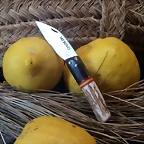 Jarota 6