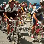 Perico-Tour1989-Rooks-Theunisse-Cubino