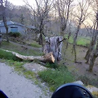 DSCN9098