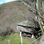 DSCN7794
