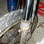 DSCN4754