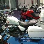 20032014281
