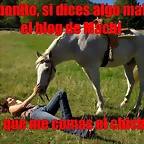 624675264-ashland-pastizales-caballo-animal-relajarse