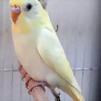 20191230_141009