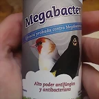 IMAG1739