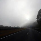 DSCN0008