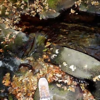 DSCN7872