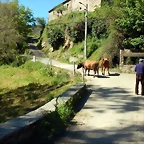 DSCN0020