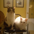 DSC00002