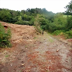 DSCN4532