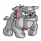 abulldog