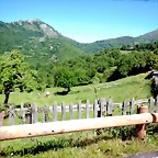 DSCN6795